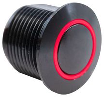 E-SWITCH PVA6RE24111
