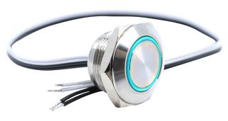 E-SWITCH PVT4FW4SS341