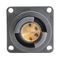 BULGIN LIMITED PXEB5220MM4550
