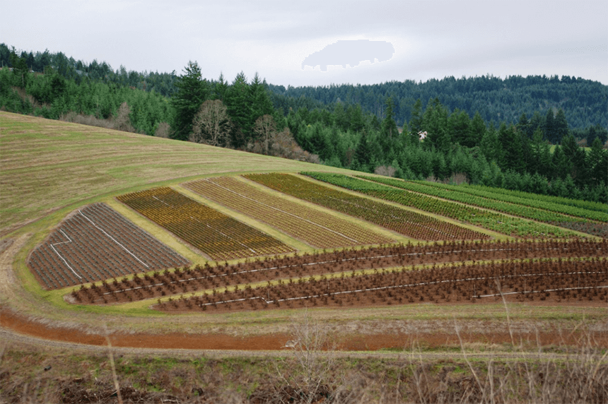 arable farming arable farming