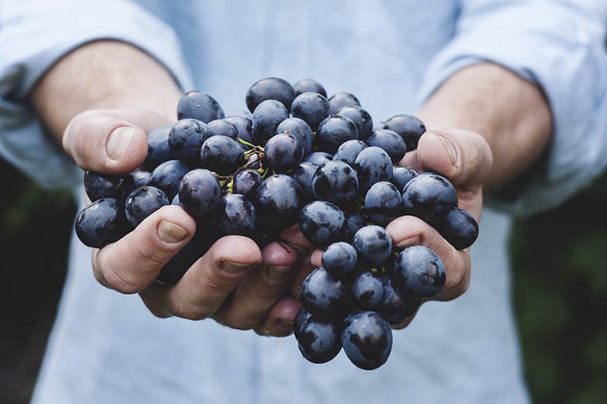 grapes grapes