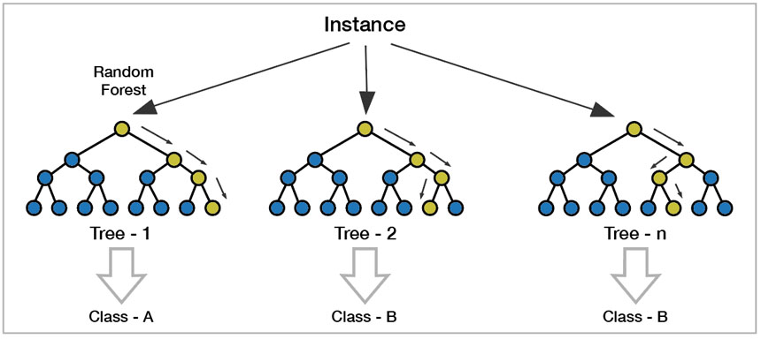 Decision trees from the training data Decision trees from the training data