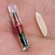 Pet implant RFID chip Pet implant RFID chip